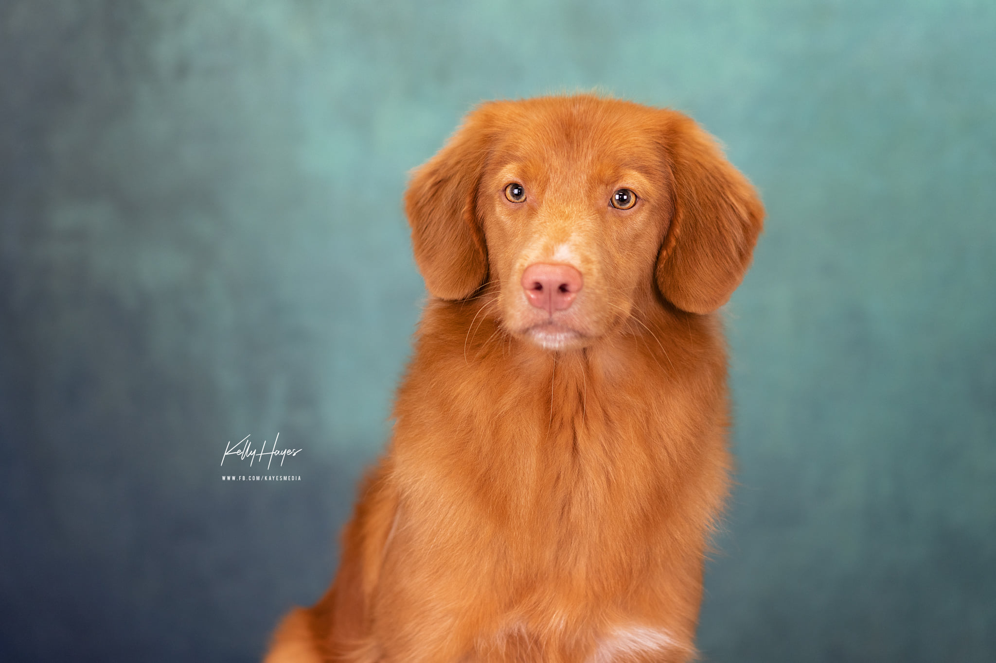 471498337_1114011327184052_5272402001531651352_n