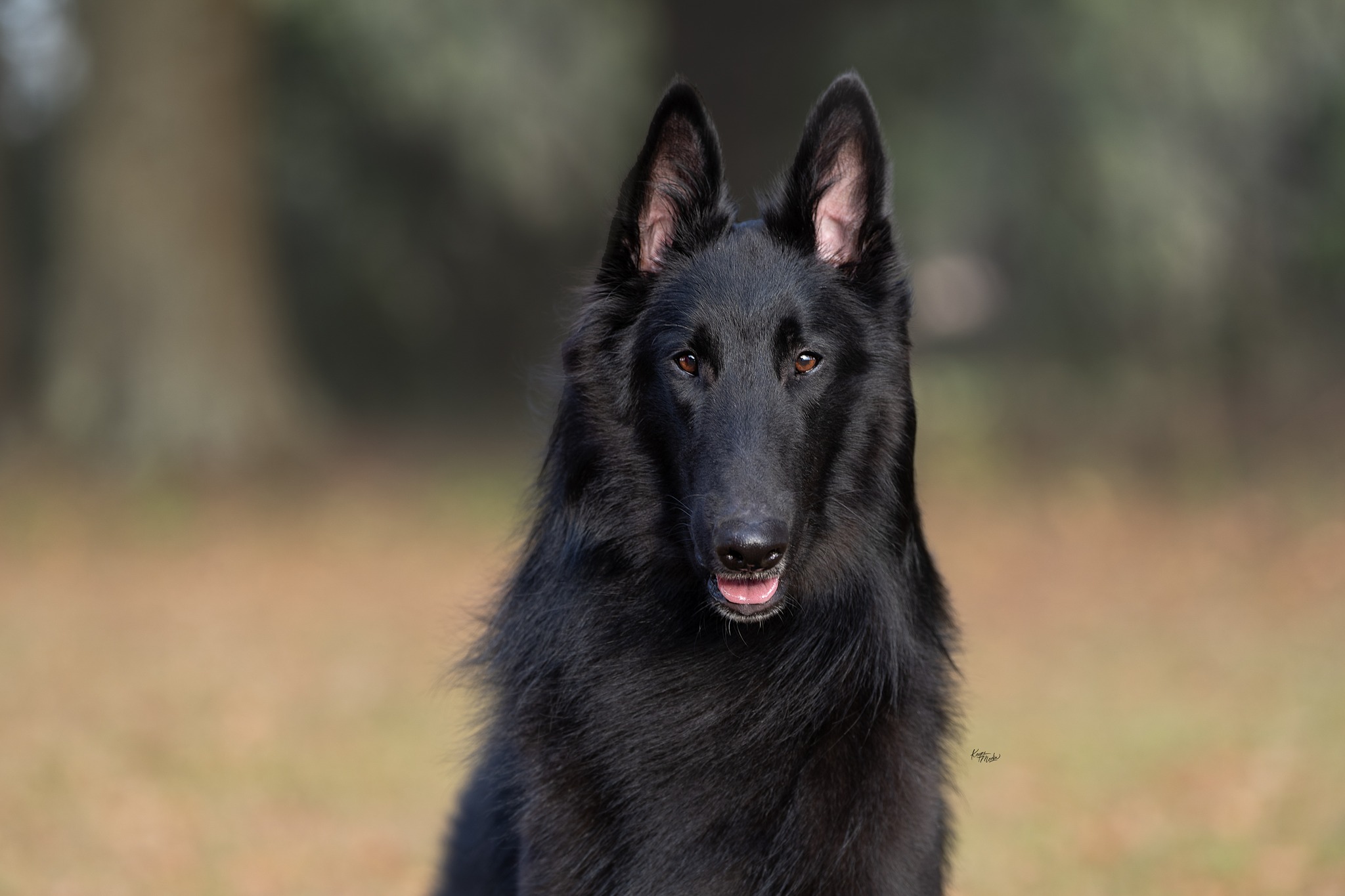 475466125_1139541451297706_2676887190044513247_n