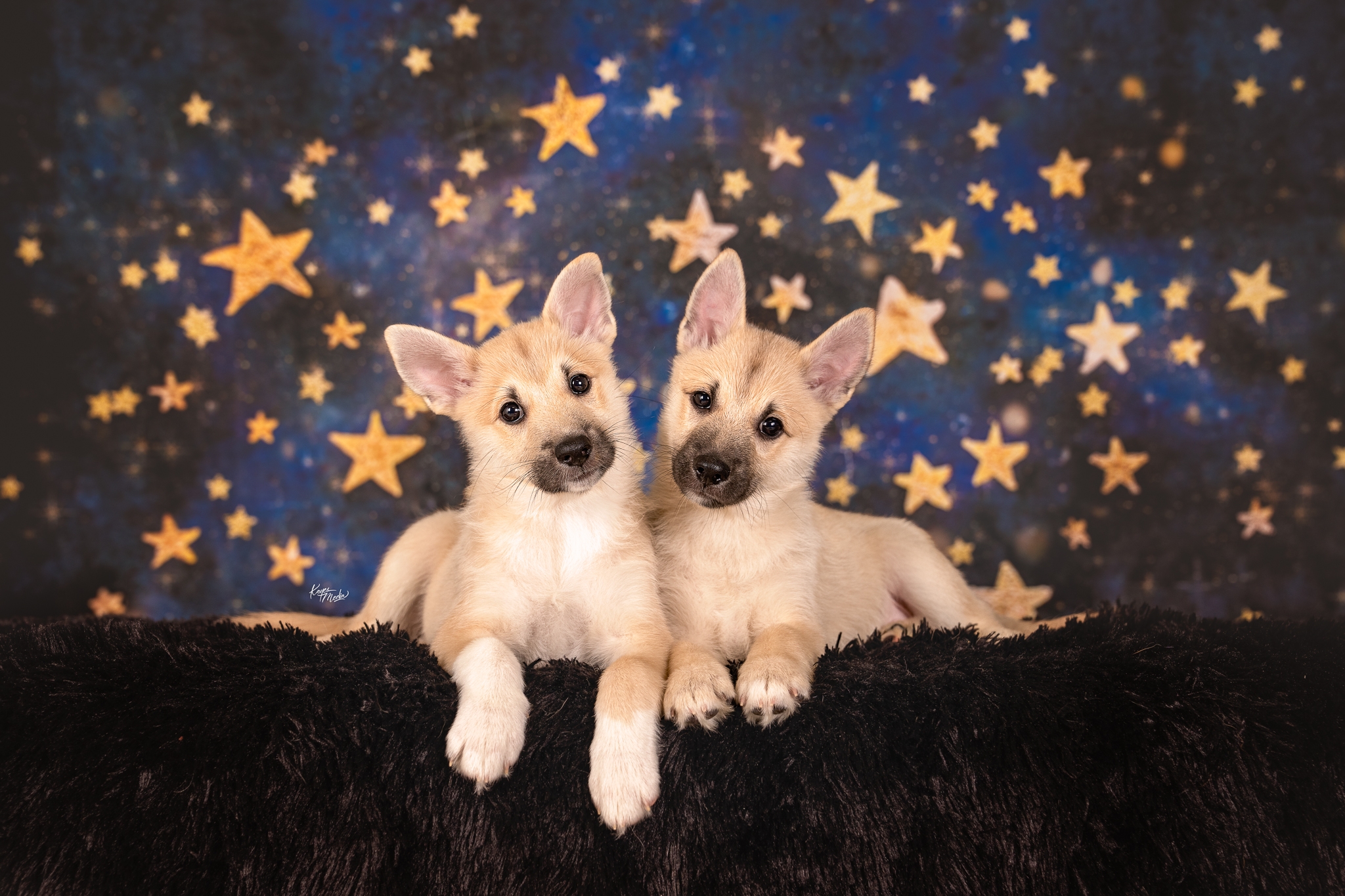 514379133_10161459176675665_8469849199554980287_n