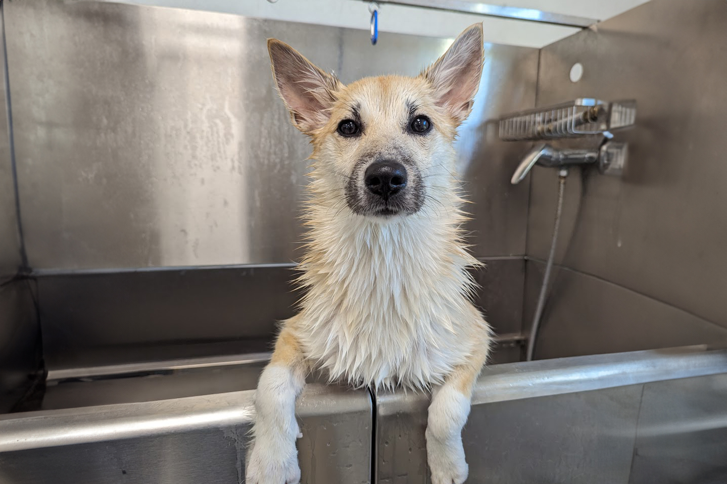 PXL_20230909_125019820