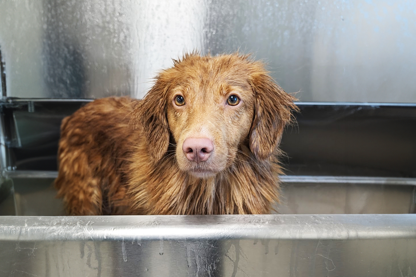 PXL_20240522_121054191